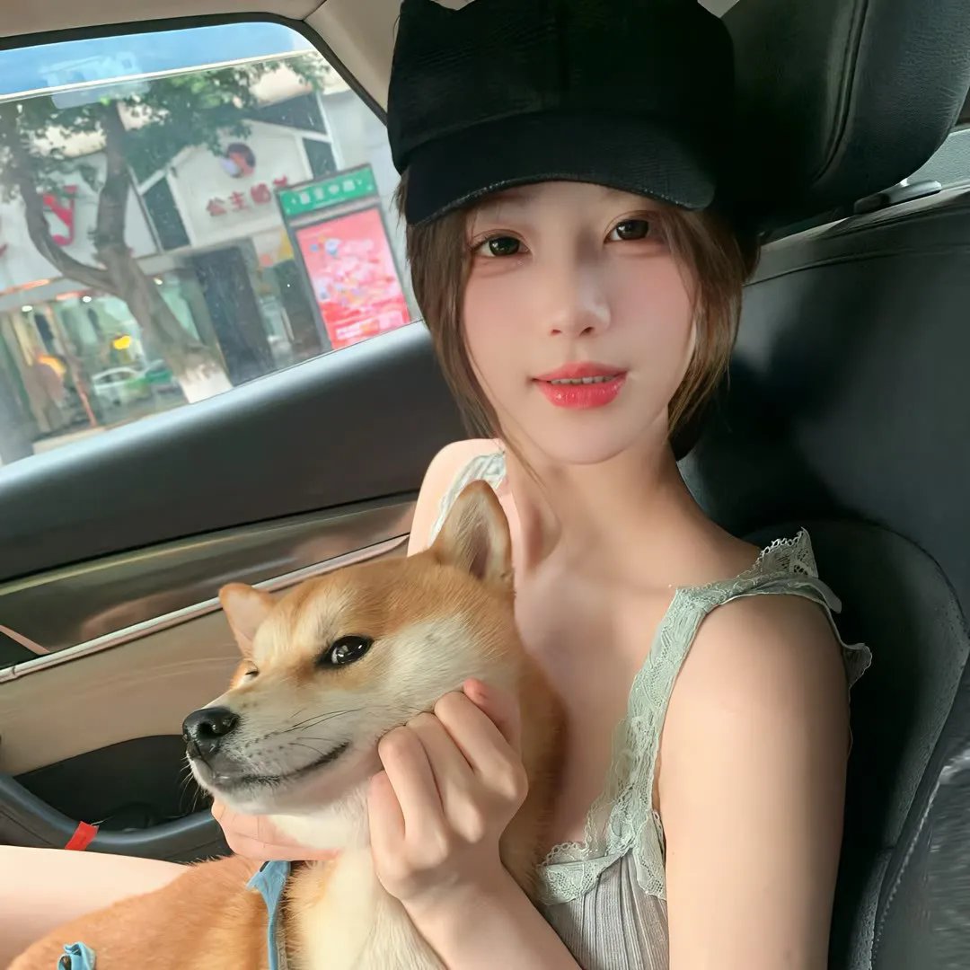 飞行之翼