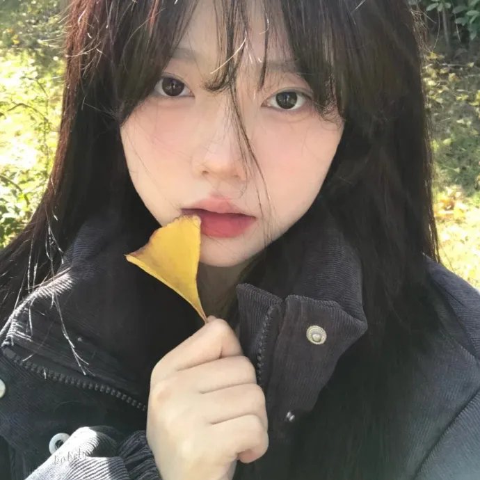 甜美爱丽丝